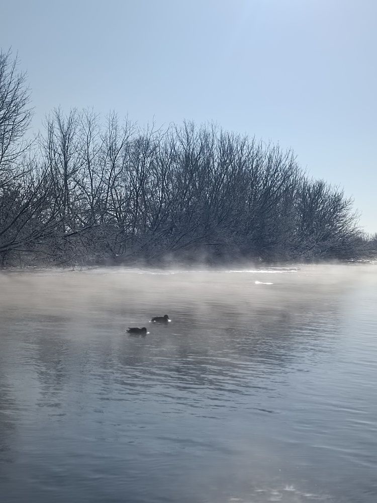 Photograph by Елена Пархоменко