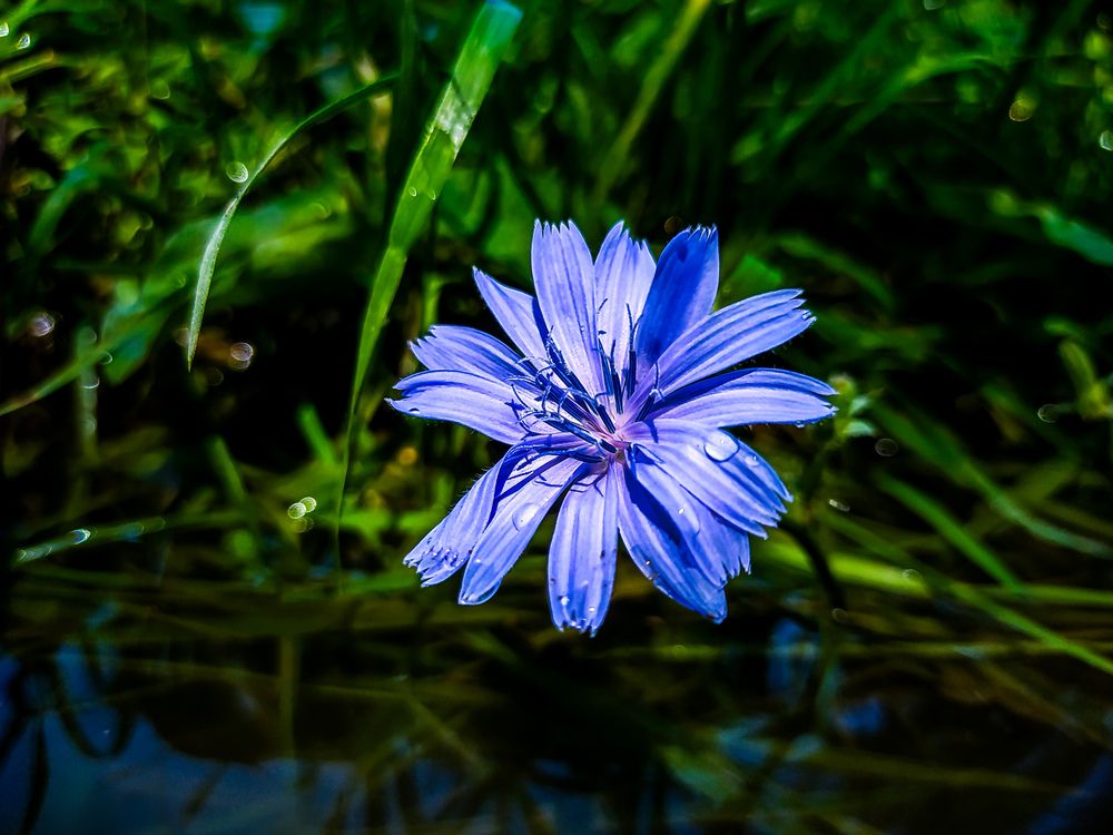 Photograph by Tazo Gaglo