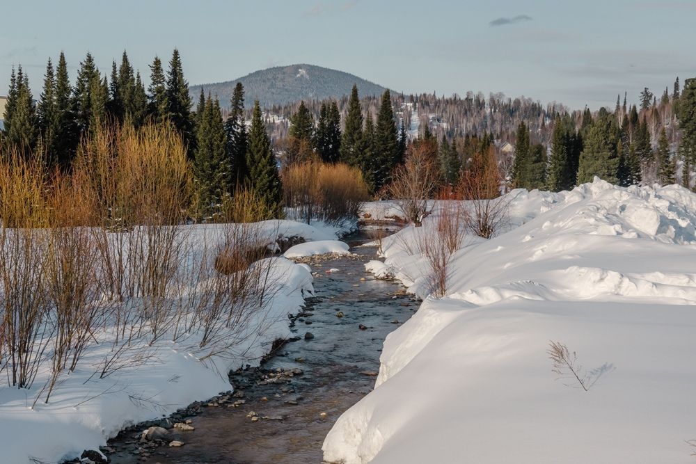 Фотография автора Lyudmila Yakovleva