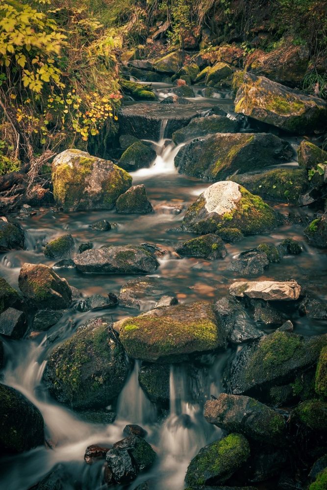 Фотография автора Lyudmila Yakovleva