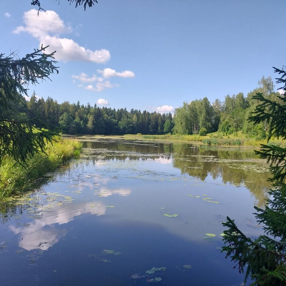 Photograph by Олеся Матвеева