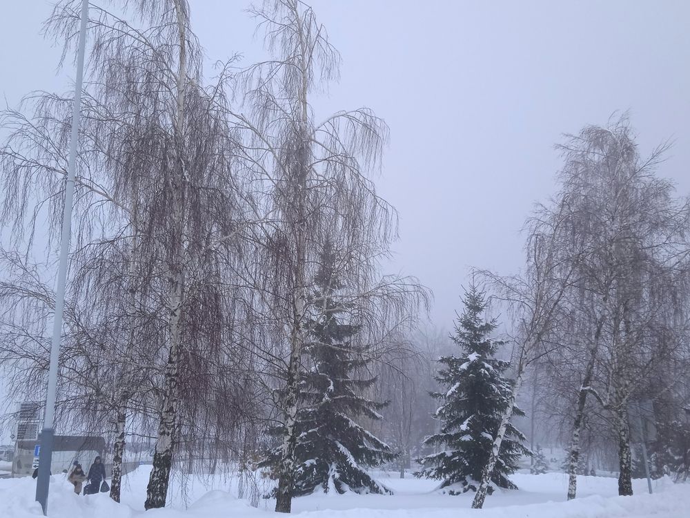 Photograph by Фёдор Викторович