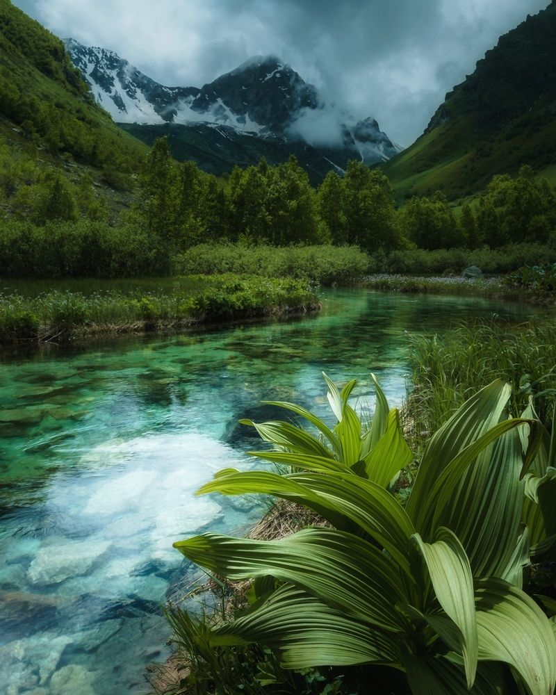 Фотография автора Serge