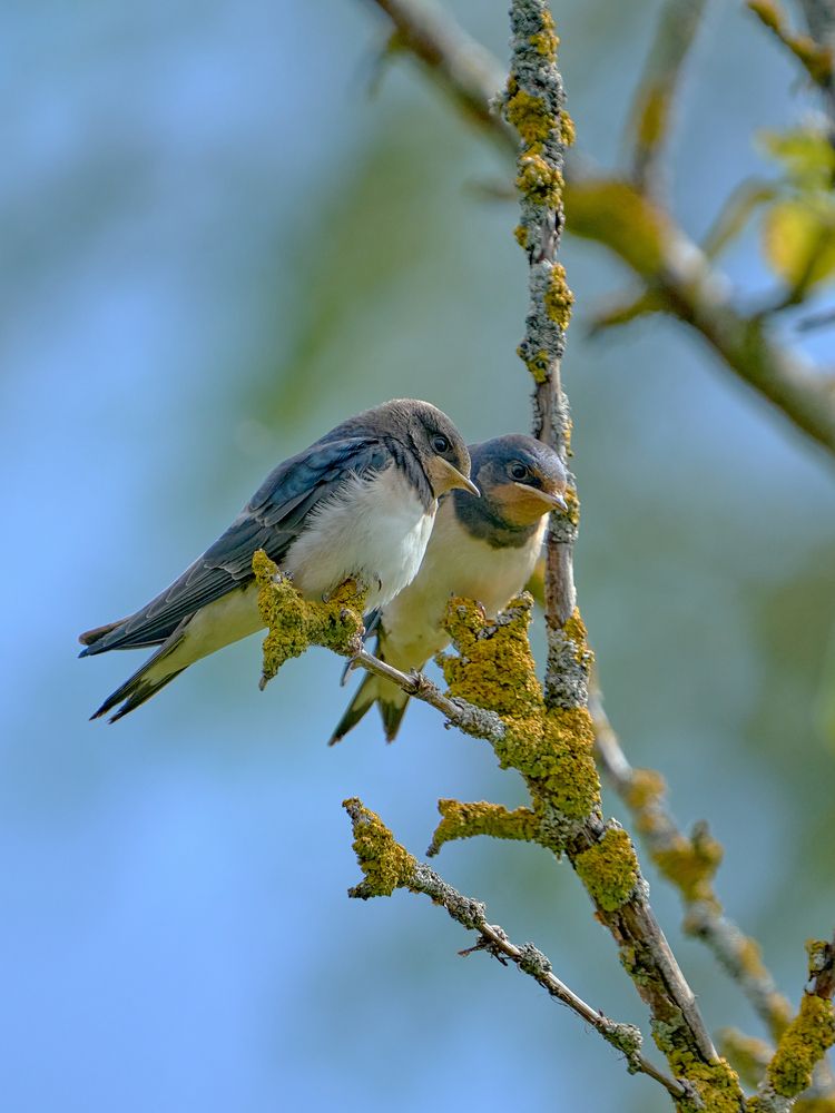 Photograph by Валерий Змачинский
