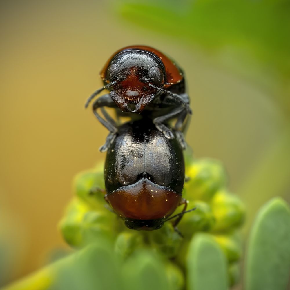 Photograph by Paul Irvine