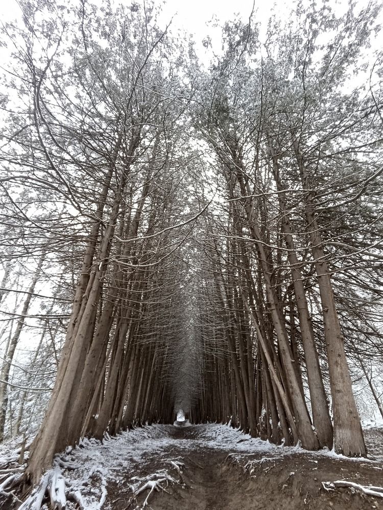 Photograph by Виталий Ратушный