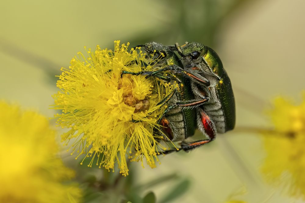 Photograph by Paul Irvine