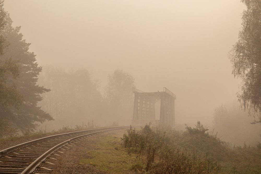 Photograph by Ирина Рыжова