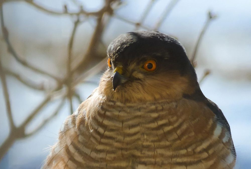 Photograph by Лидия Киприч