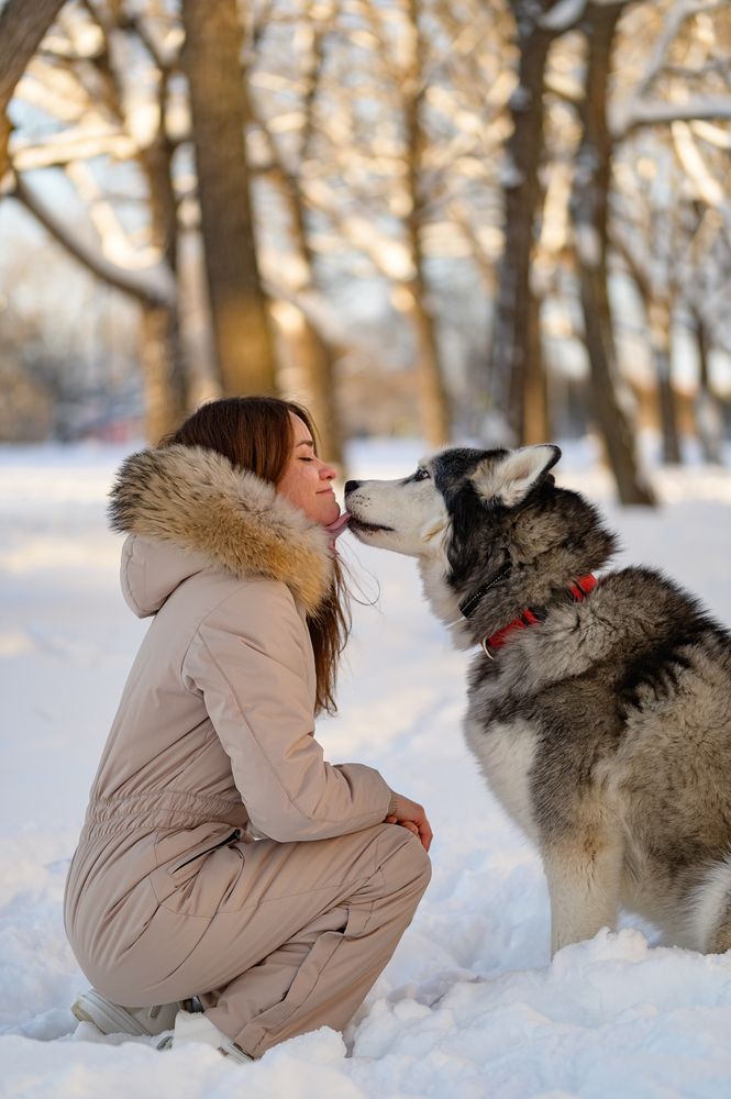 Photograph by Александр Григоров
