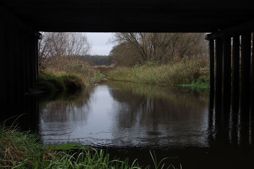 Фотография автора Наталья Боярина
