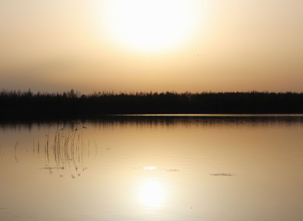 Photograph by Евгения Нестеренко