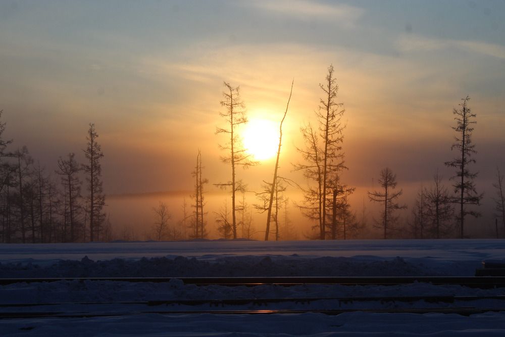 Photograph by Михаил Мархинин
