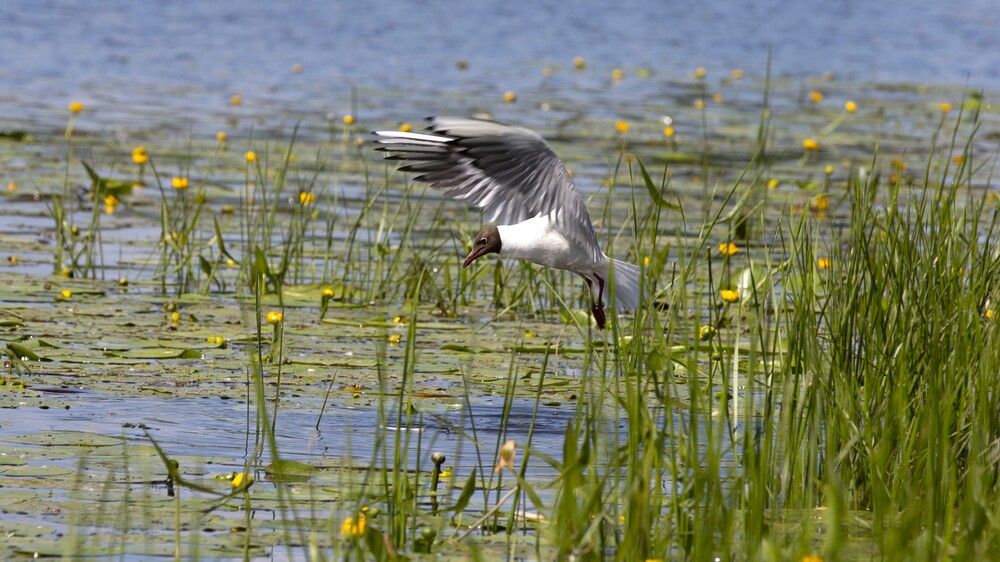 Photograph by viktor nevdakhin