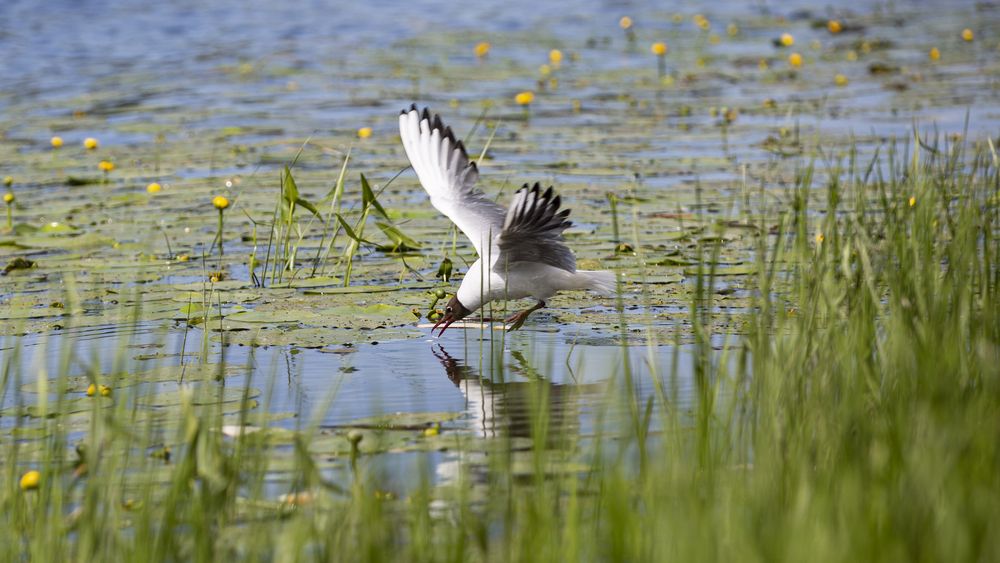 Photograph by viktor nevdakhin