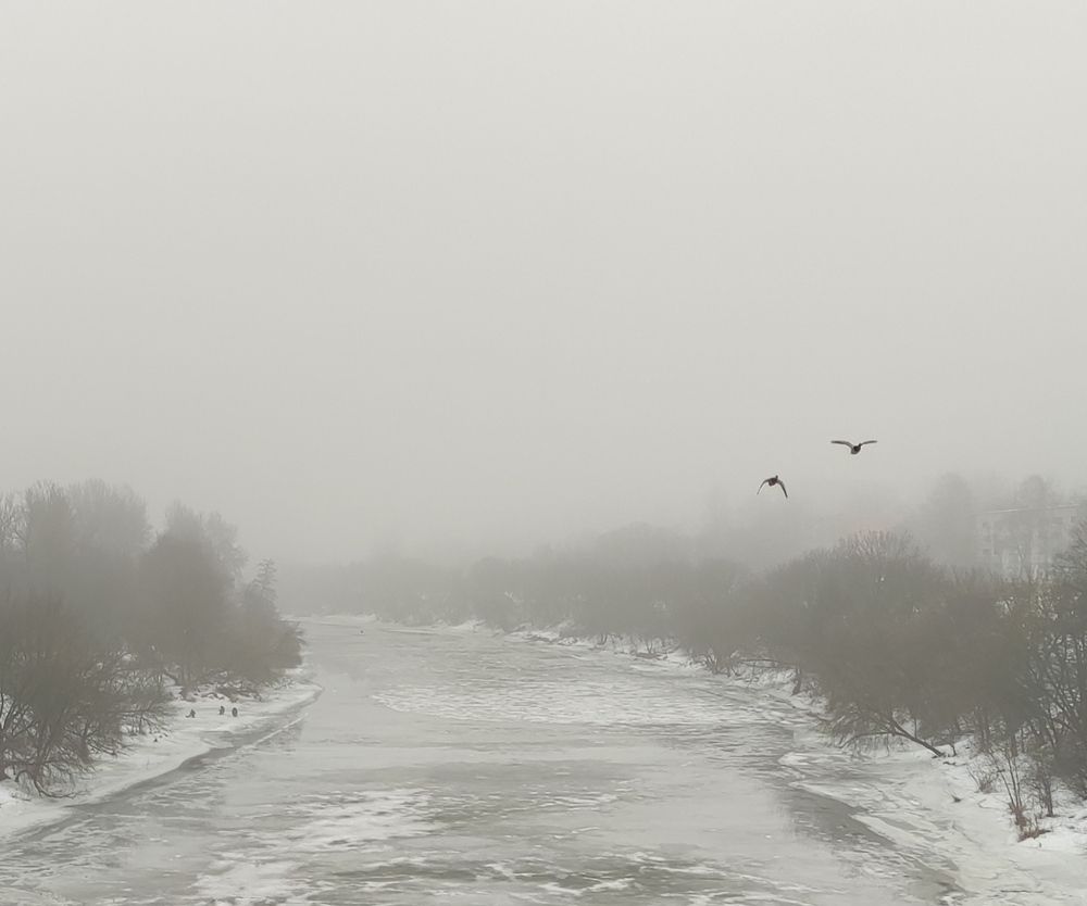 Photograph by jelena konickaja