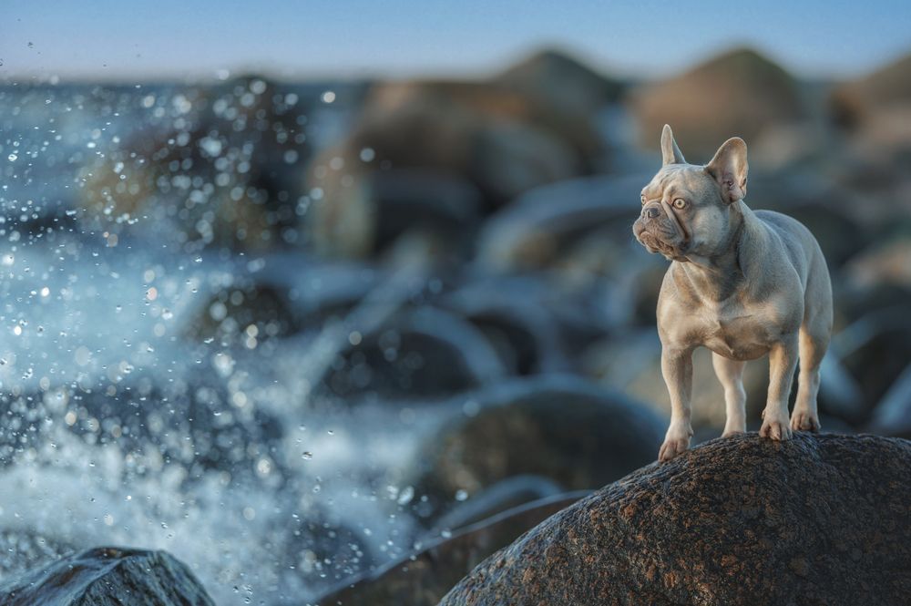 Photograph by Зубкова Юлия