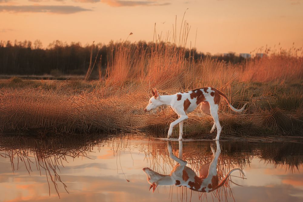 Photograph by Зубкова Юлия