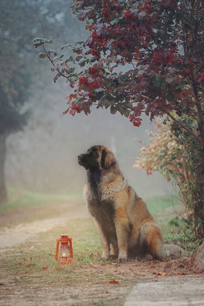 Photograph by Зубкова Юлия