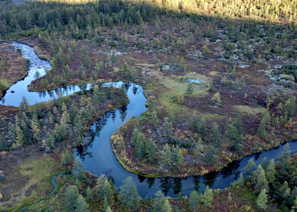 Изгибы реки