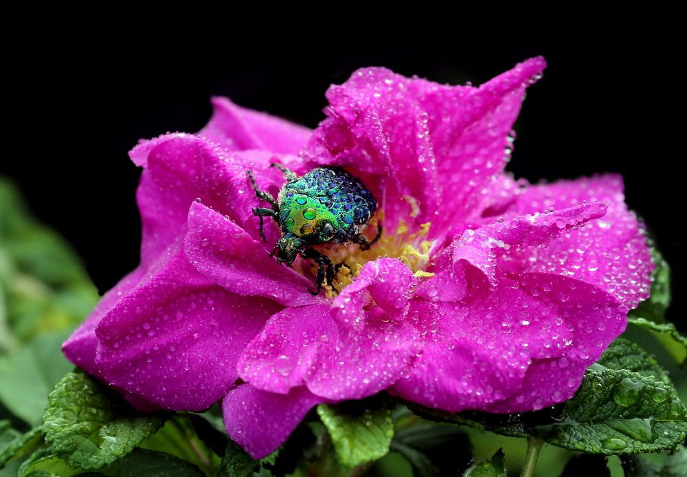 Photograph by Бибичков Михаил