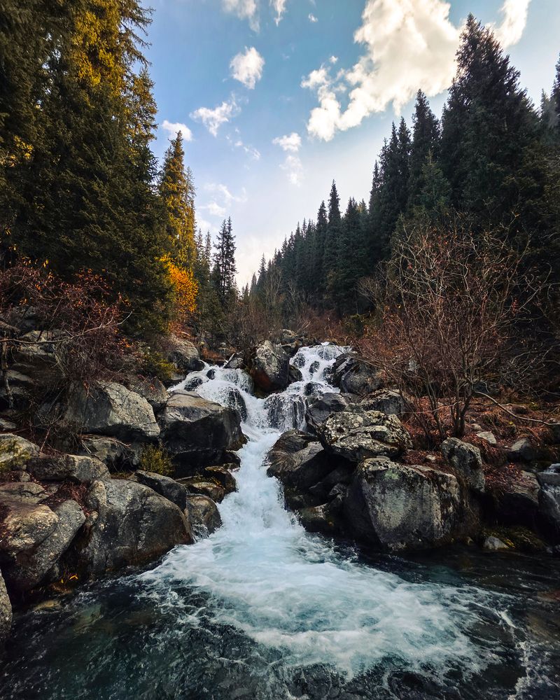 Фотография автора Анна Чичилова