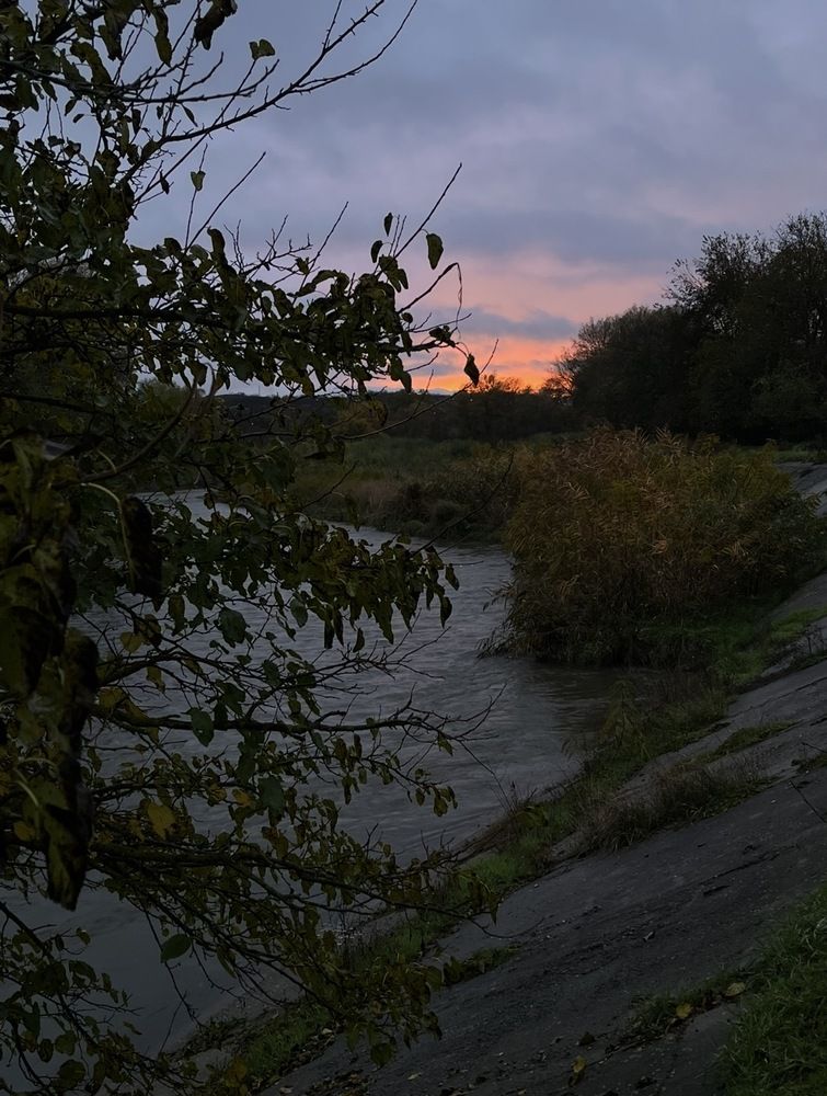 Photograph by Анатолий Протасов