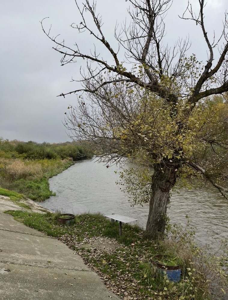 Photograph by Анатолий Протасов