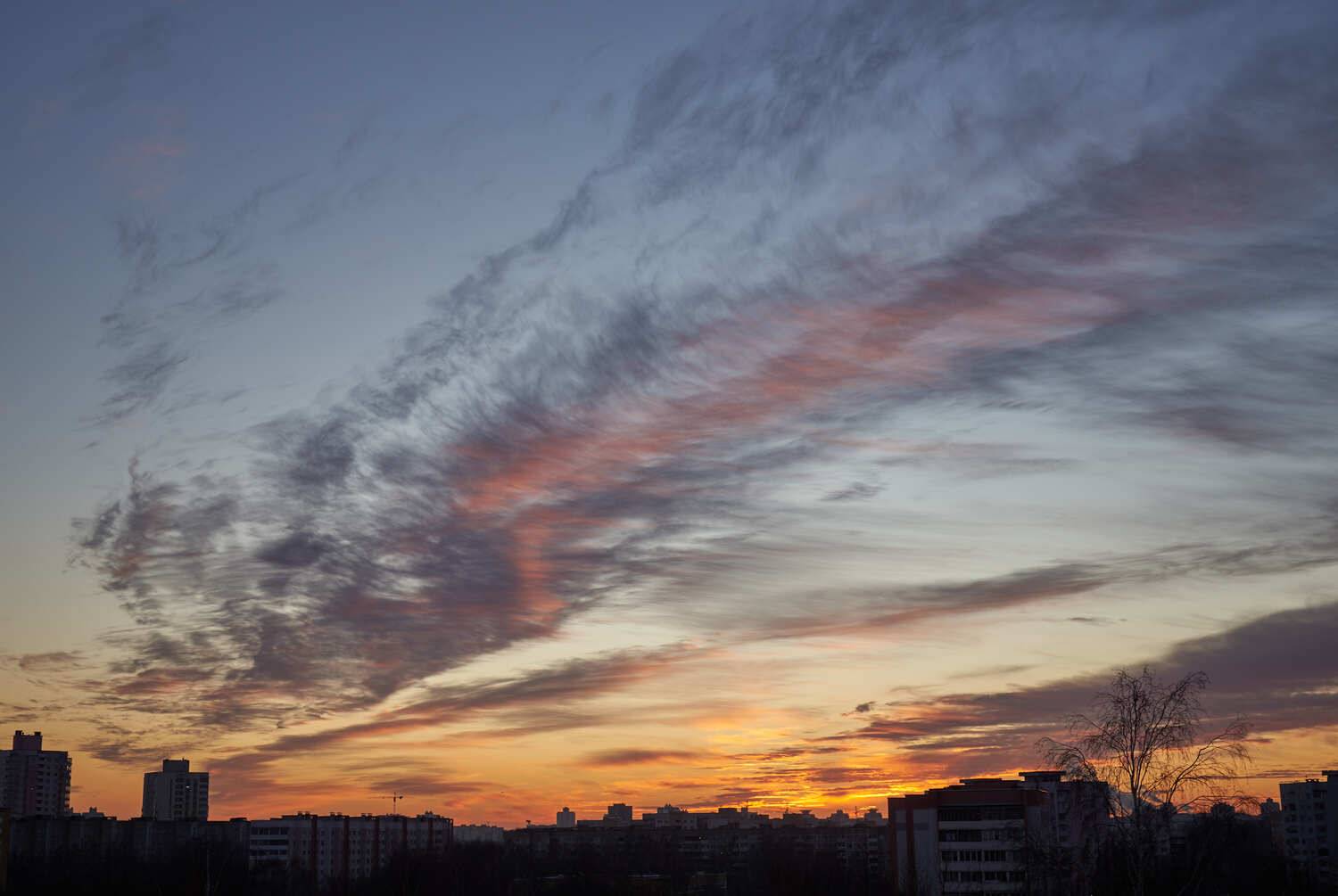 Photo #13254999