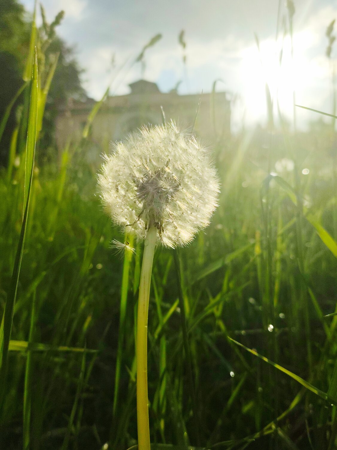 Photo #13255013