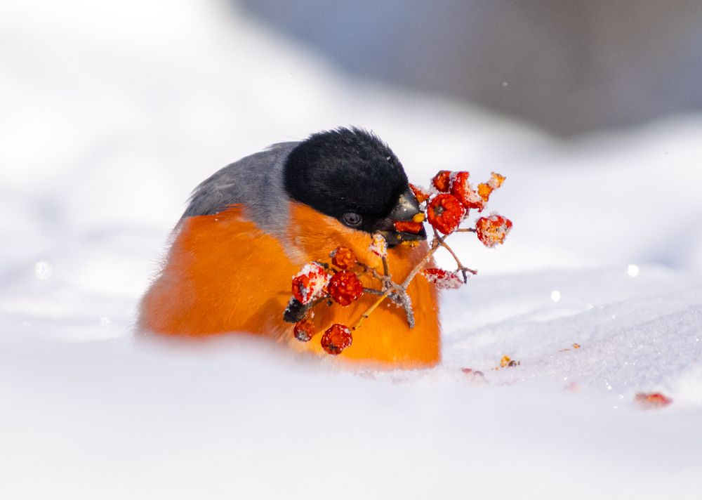 Фотография автора Margarita