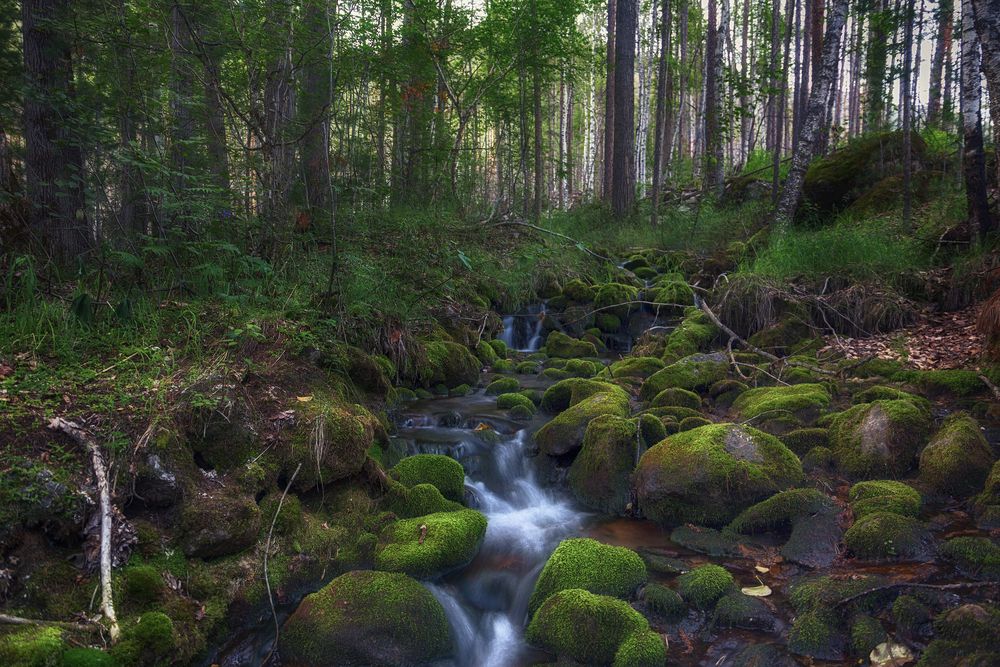 Photograph by Гарус Виктория