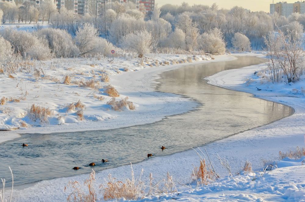 Photograph by Александр Горбаш