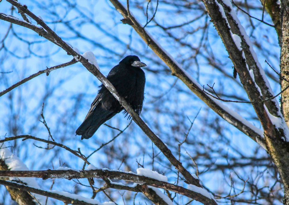 Photograph by Евгения Флиорчук