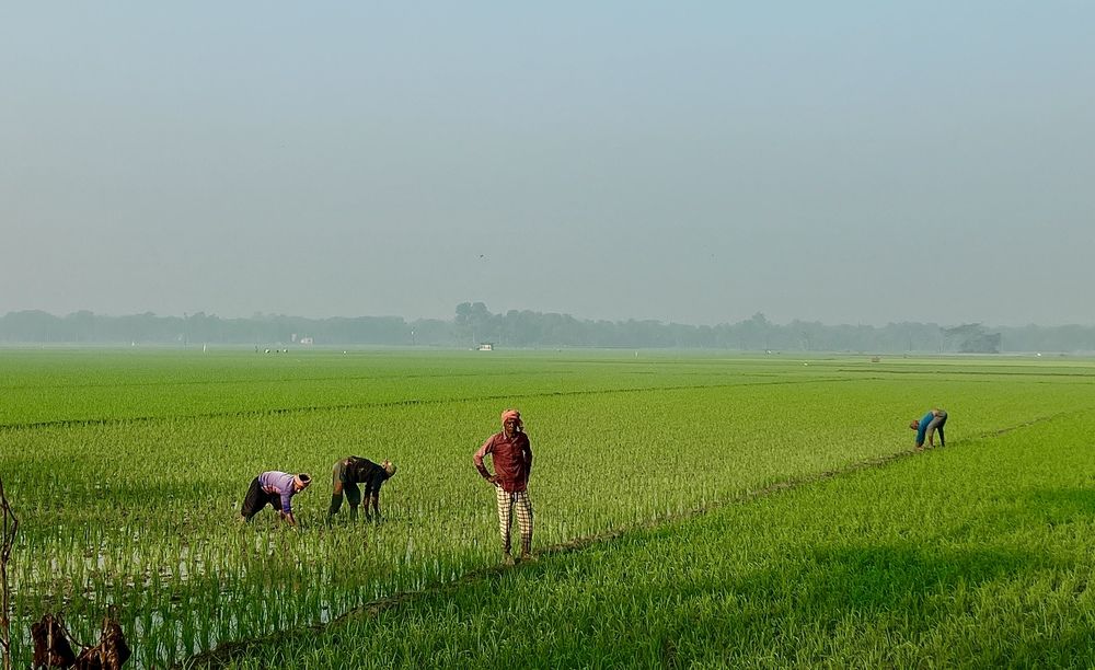 Photograph by AKATRUZZAMAN REDOI