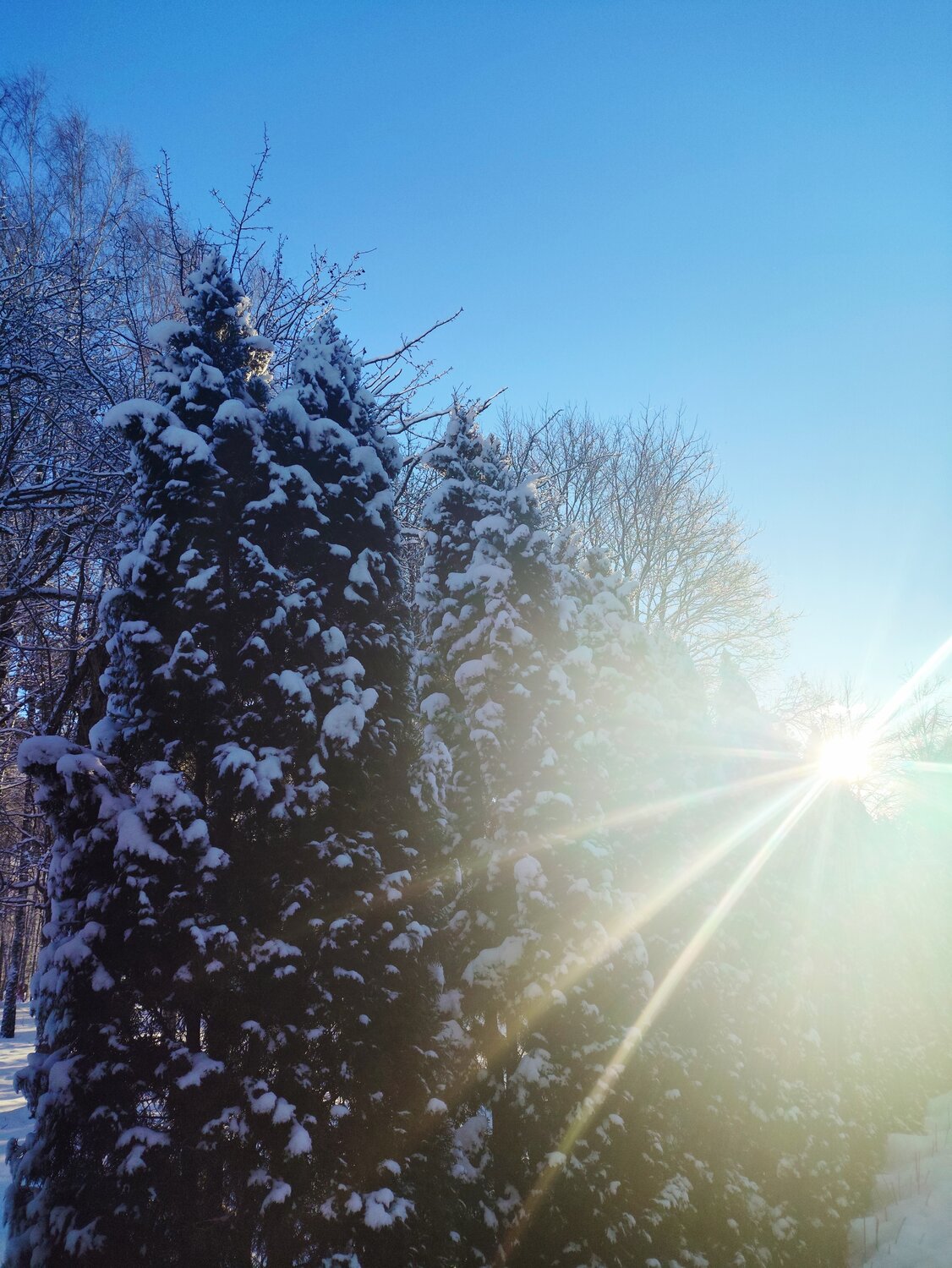 Photo #13255111
