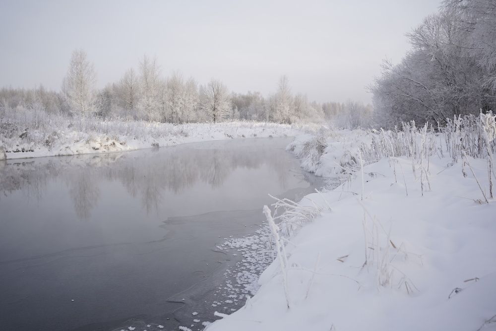 Photograph by Таланова Алёна