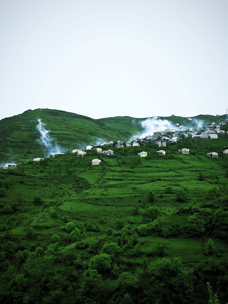 Photograph by Антонина Татаурова