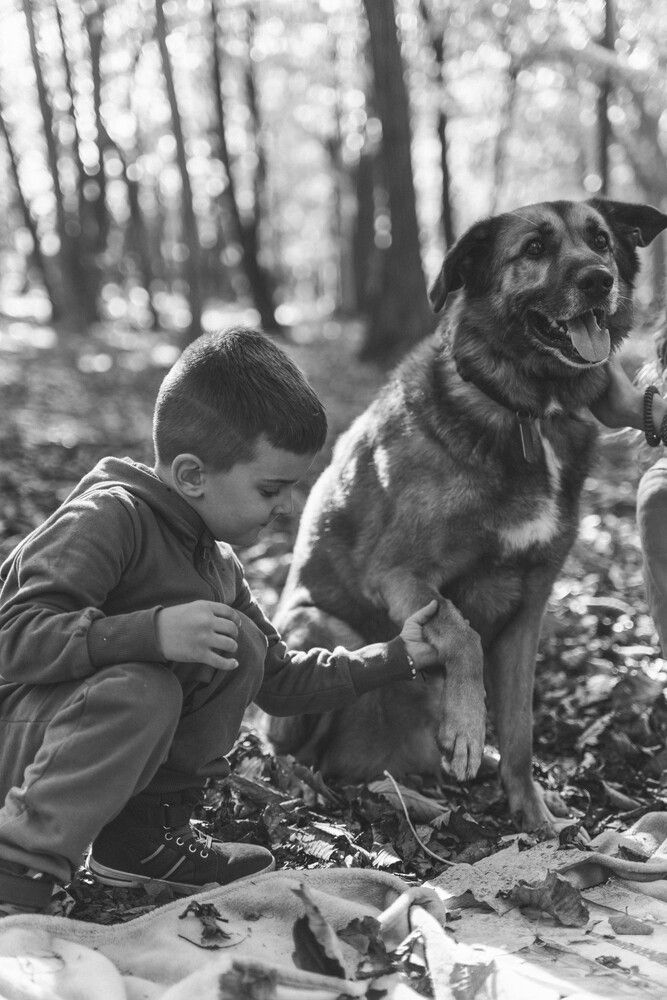 Photograph by Катерина Правдина