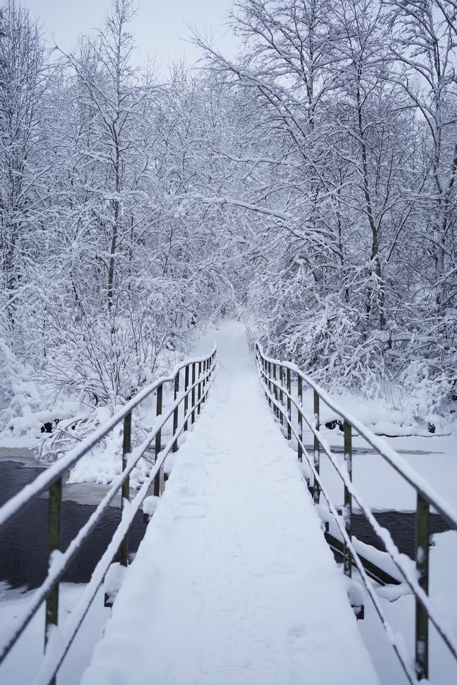 Photograph by Таланова Алёна