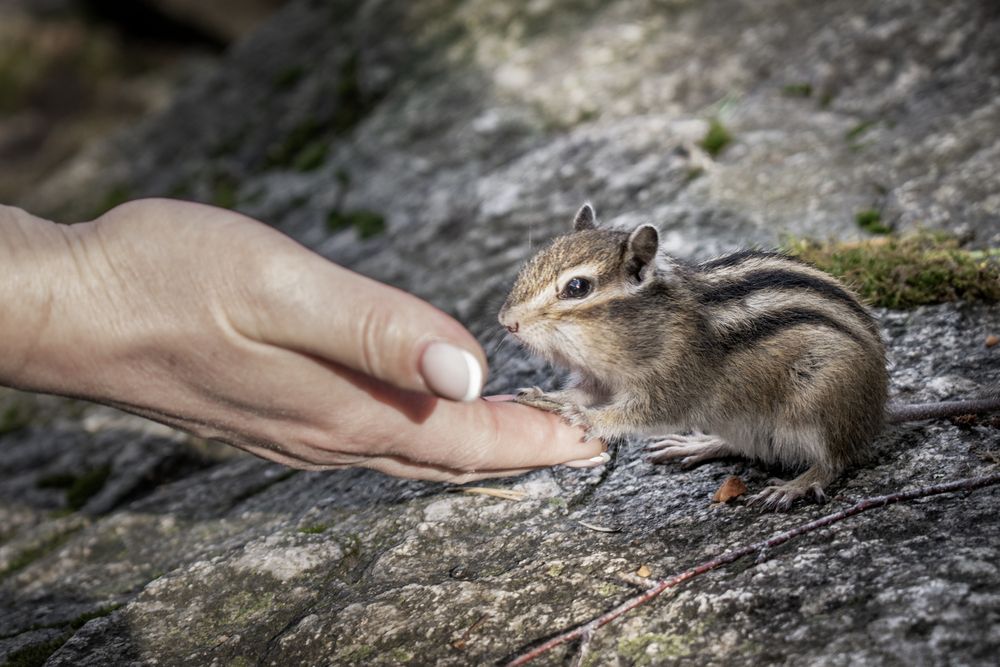 Photograph by Альфия Агзами