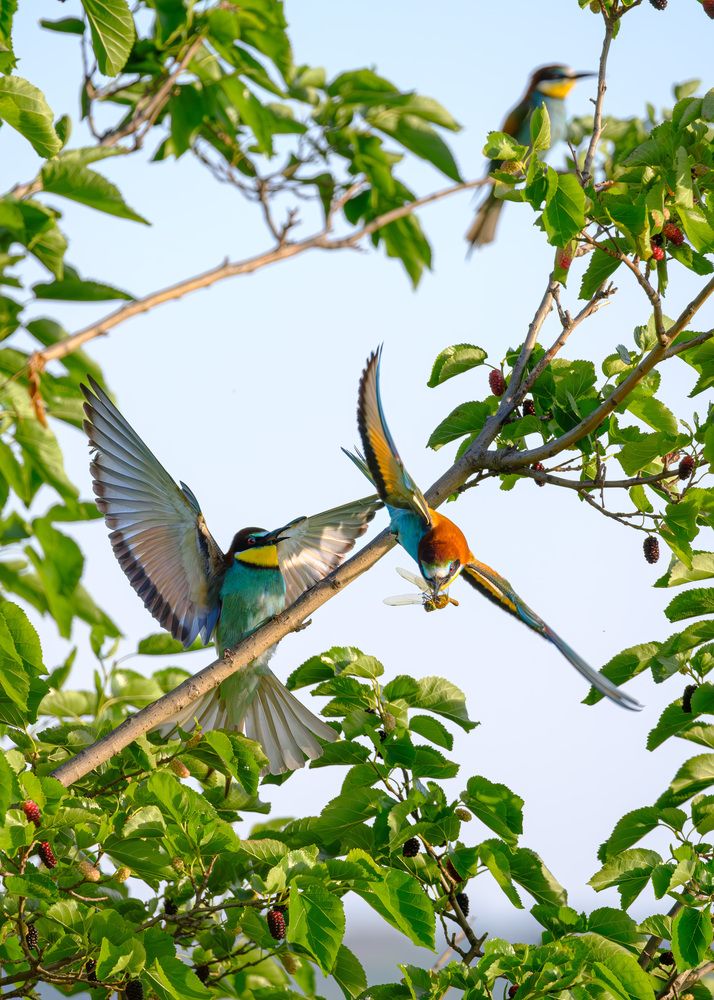 Photograph by Stanislav Volkov