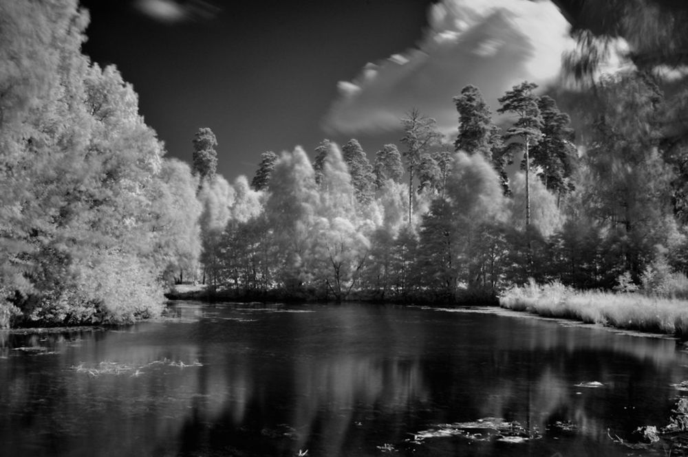 Photograph by Березкин Виктор