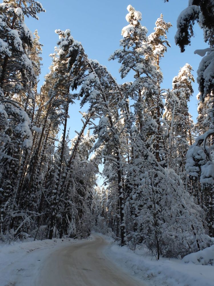 Фотография автора Александр Шаварин