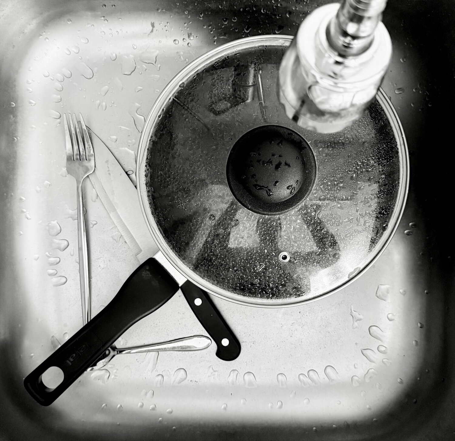 Photo #13255409