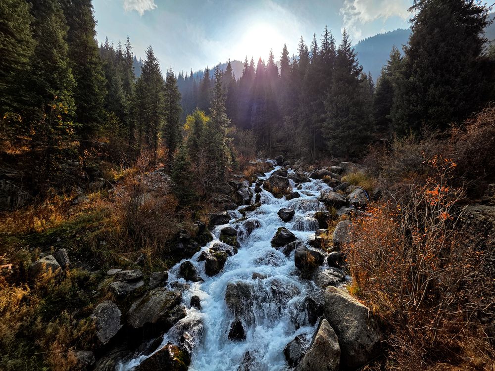 Фотография автора Анна Чичилова