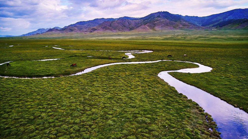 Photograph by TOTORO