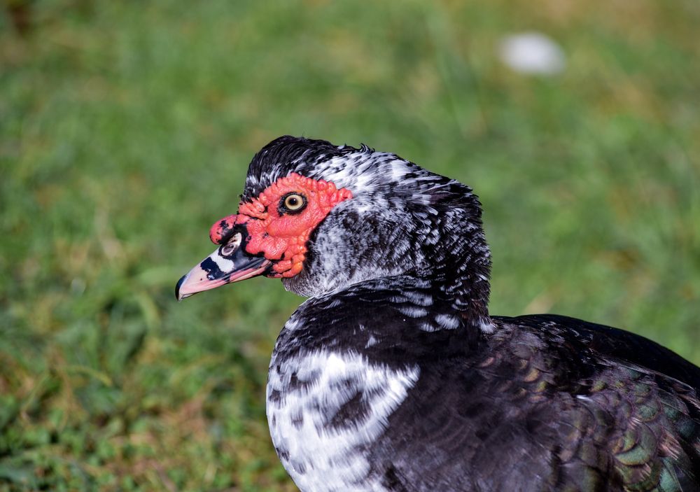 Фотография автора Tarasov Alexander