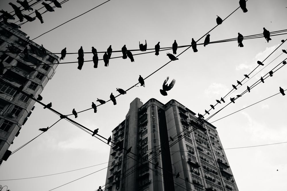 Photograph by Нина Архипова