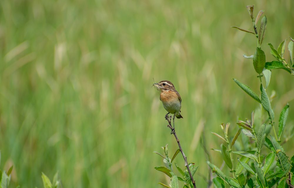 Photograph by Александра Плискова